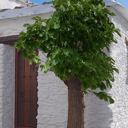 Casa El Rincon Del Angel Villa บูบิยอน ห้อง รูปภาพ